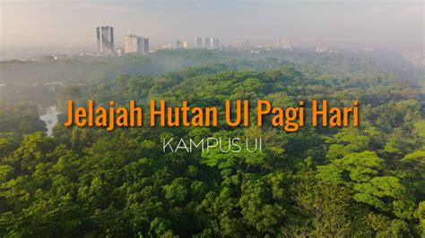 Jelajah Hutan Kampus Ui Universitas Indonesia Pagi Hari Youtube