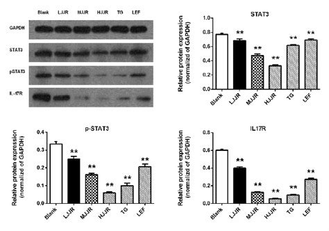 Figure 1 From Effect Of Miao Medicine Jinwujiangu Decoction On Il 17