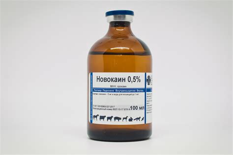 Новокаин ⇨ Врач Бишкека