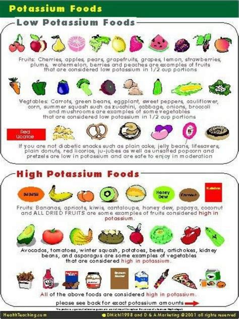 Potassium Rich Foods To Avoid With Kidney Disease - Foods Details