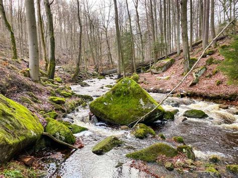 Wandern Im Harz Durchs Wilde Ilsetal I Indigo Blau De Abenteuer