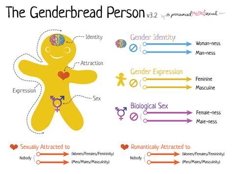 What Considerations Should Be Given When Looking At Sexual And Gender Identity Homelesshub