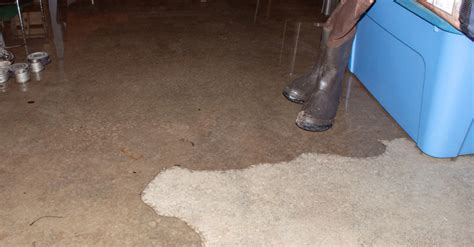 How Much To Fix A Flooded Basement Cleanup Repair Costs