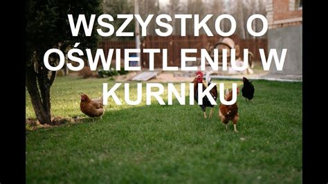 Odcinek Wszystko O O Wietleniu W Kurniku Jaka Barwa I Nat Enie