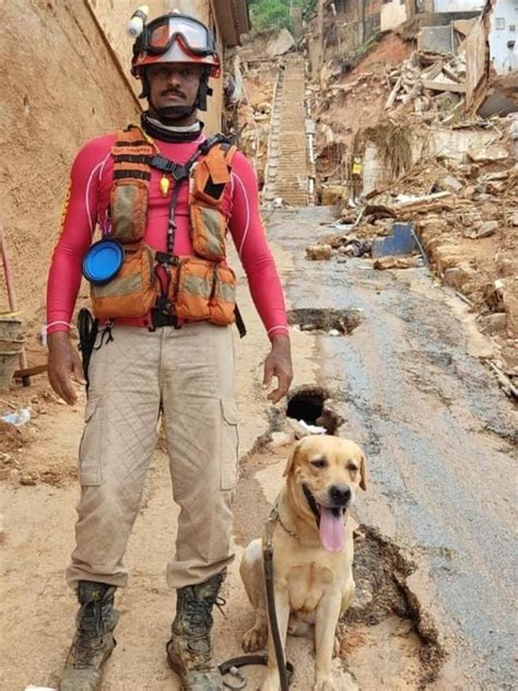 Morre Thayron Cachorro Que Ajudou Nas Buscas Do Rs E Atuou Em