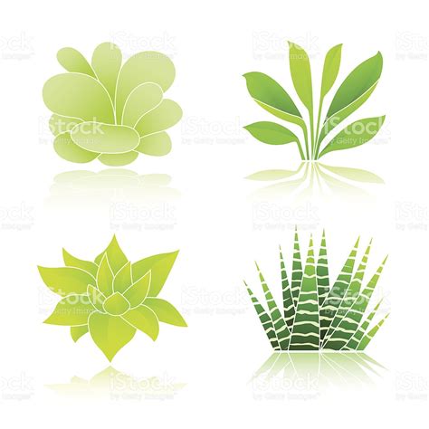 Succulent Icon Free Icons Library