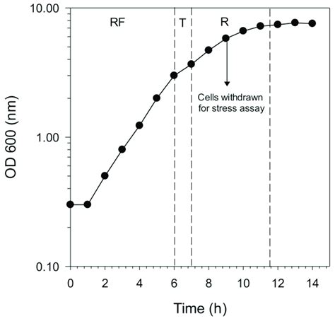 Growth Curve Of The Saccharomyces Cerevisiae Skq N Cultured In