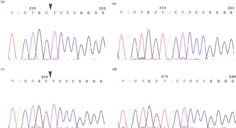 A B Direct Sequencing Of CDNA And C D Genomic DNA Electropherograms