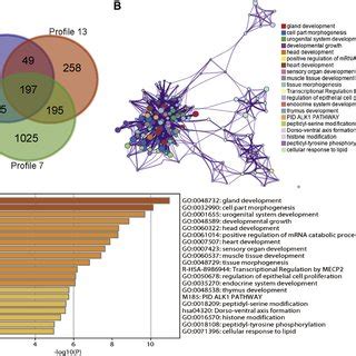 Function Enrichment Analysis Of Shared Target Genes In The Profiles