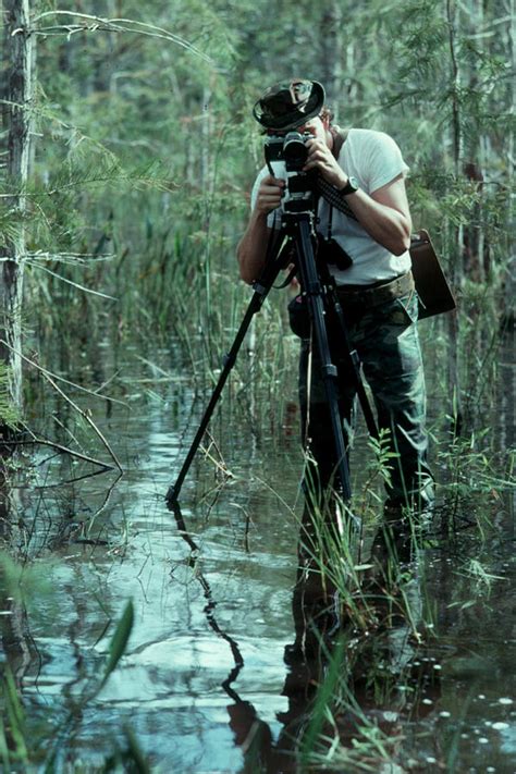 Swamp Photography Photograph By Michael Goldy Fine Art America