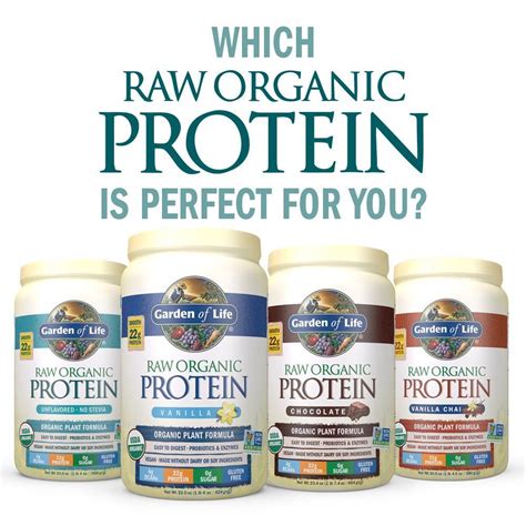 Garden Of Life Protein Powder Recipes