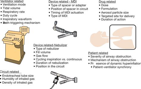 Mechanical Ventilation Anesthesia Key