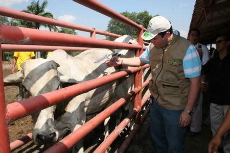 Formar C Rculo De Excelencia Meta De Ganaderos En Zona Comunera