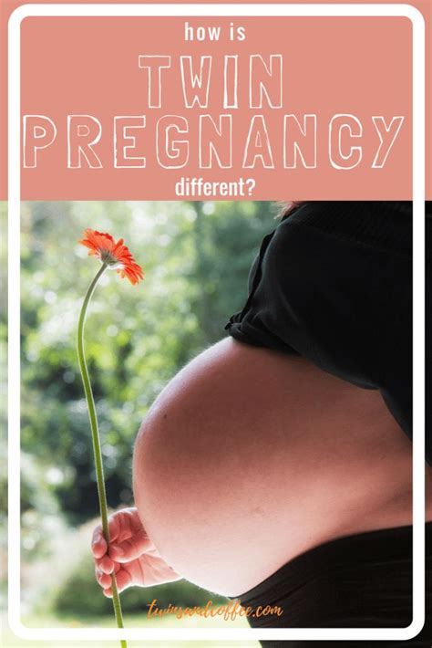 A Pregnant Woman Holding A Flower With The Words How Is Twin Pregancy