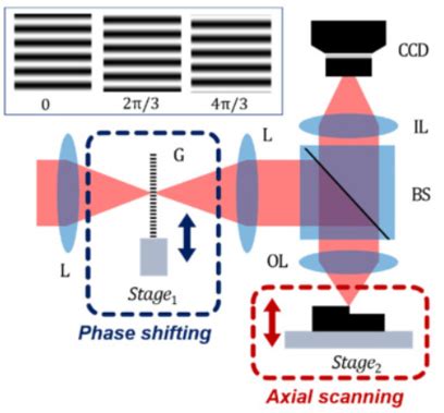 Structured Illumination Microscopy Service - Creative Biostructure