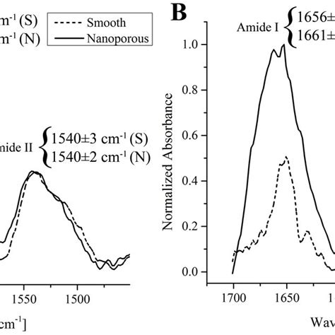 Representative Examples Of The Ft Ir Spectrum Of Bovine Serum Albumin