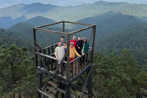 Caminata Por El Bosque De La Sierra Norte De Oaxaca