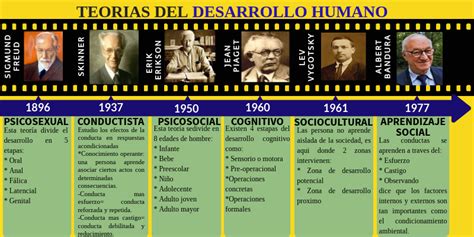 Linea Del Tiempo De La Etapa Del Desarrollo Humano Timeline Timetoast