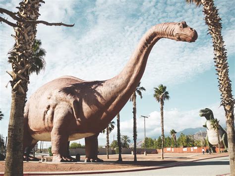 12 Best Things To Do In Palm Springs In 2023