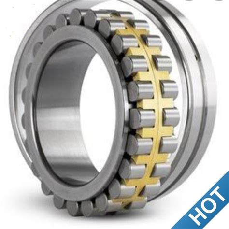 Double Row Cylindrical Roller Bearing Manufacturers Suppliers