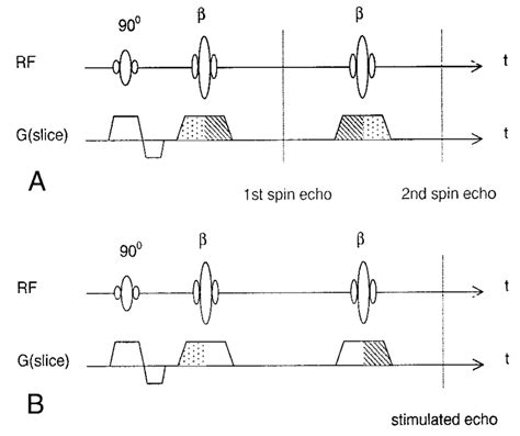 Schematic Diagrams Of The Fast Spin Echo Sequence Show The Effects Of