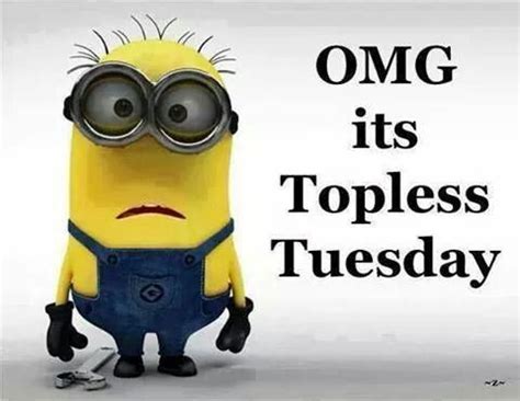 Tuesday | Funny minion quotes, Minions funny, Funny minion memes