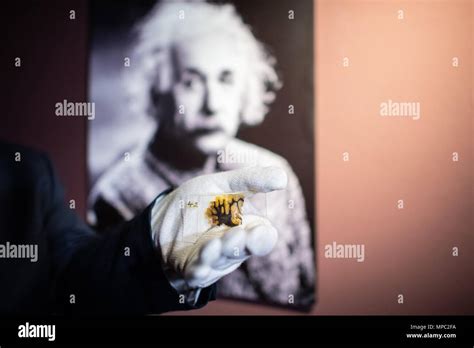 Einstein Brain In Museum Hi Res Stock Photography And Images Alamy