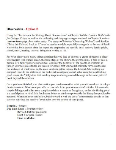 Observation Essay 10 Examples Format How To Write Pdf