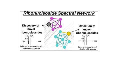 Higher Energy Collisional Dissociation Mass Spectral Networks For The