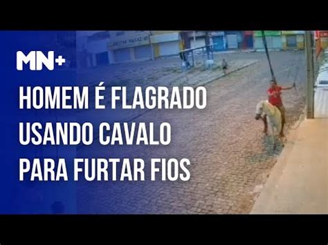 Suspeito Flagrado Usando Cavalo Para Furtar Fios Em Oeiras Preso