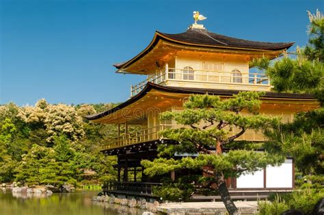 Golden Temple in Japan with Clear Sky Stock Image - Image of golden ...