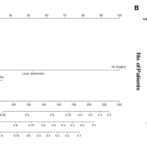 Nomogram And Risk Stratification Model A Nomogram For 1 3 And