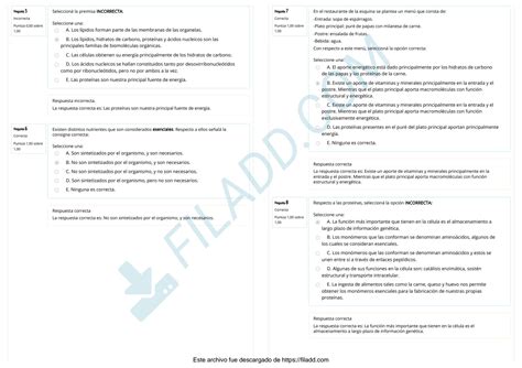 Solution Cuestionario De Autoevaluacion Tp Studypool