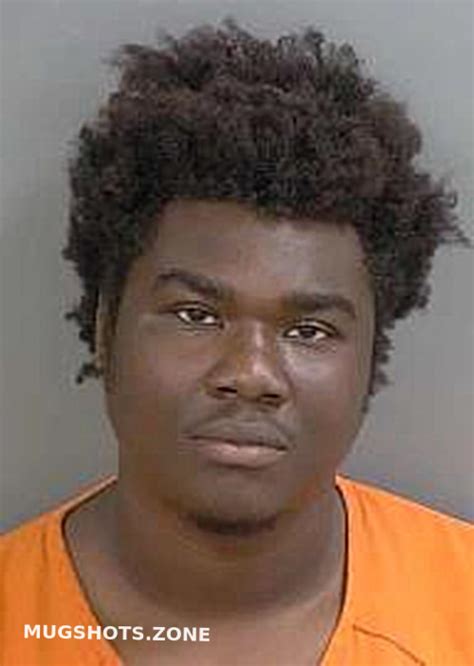 Jeancharles Junick Collier County Mugshots Zone