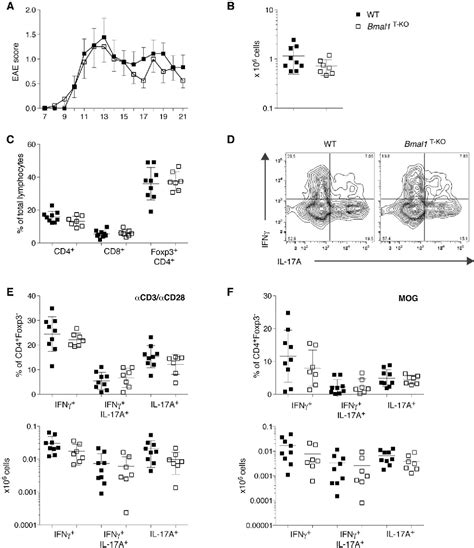 Figure From The Cell Intrinsic Circadian Clock Is Dispensable For