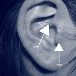 Complete Tragus Piercing for Migraines and Headaches Guide - Migraine Professional