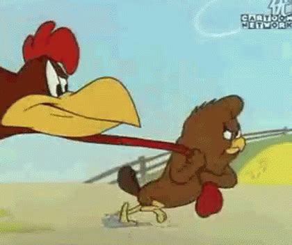 Foghorn Leghorn Chicken Hawk GIFs | Tenor