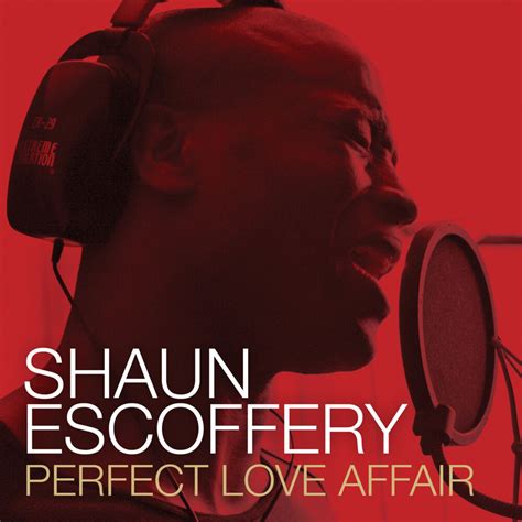 Perfect Love Affair Radio Version By Shaun Escoffery On Beatsource