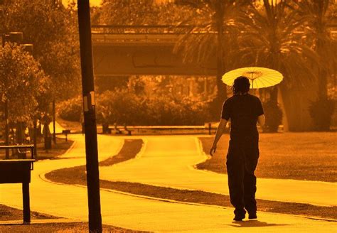 Oms Alerta Para Riscos De Calor Extremo à Saúde Humana