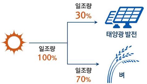 남동발전 영농형 태양광발전 개시“농사지으며 전기 판매” 이투데이