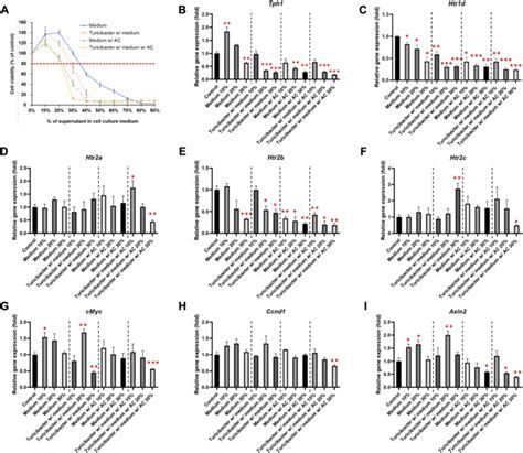 Human Colon Cancer Cell Line Caco Atcc Bioz