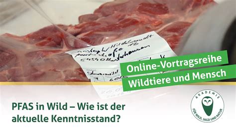 Djv Online Vortragsreihe Wildtiere Und Mensch Pfas Youtube