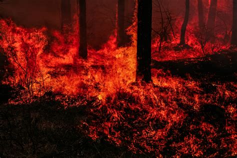 length  northwest forest fire season continues  grow washingtons