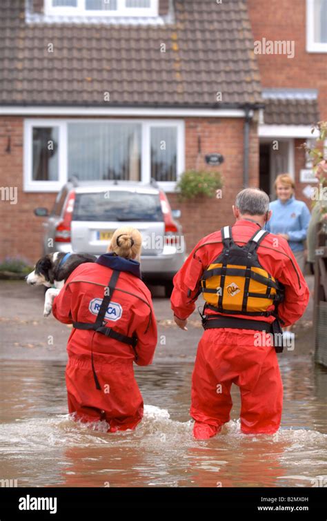 AN RSPCA FLOOD RESCUE OFFICER CARRIES A PET DOG ACROSS A FLOODED STREET WHERE HOMES HAVE BEEN ...