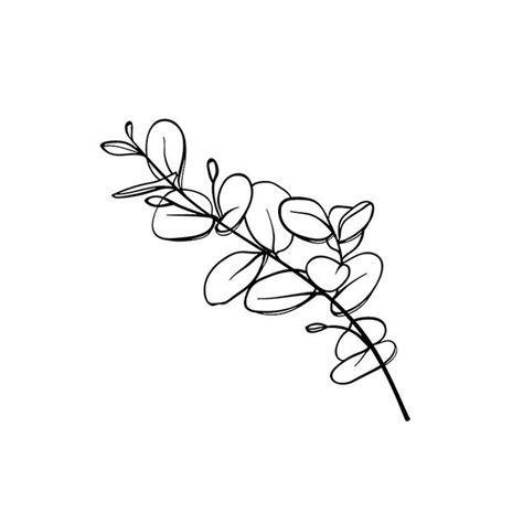 Eukalyptus Svg Eukalyptus Line Art Botanische Wandkunst Etsyde