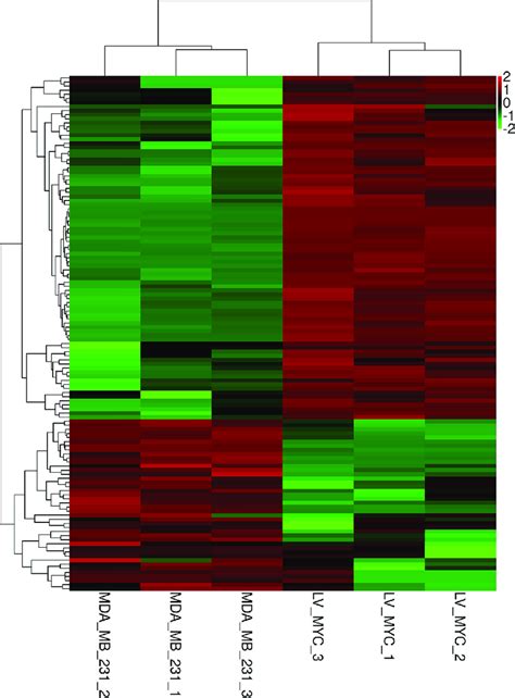 Heat Map Of Upregulated And Downregulated Differentially Expressed