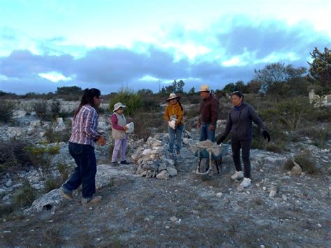 Identifican Mujeres Forestales Barreras En Apoyos De Conafor Evlyn Online