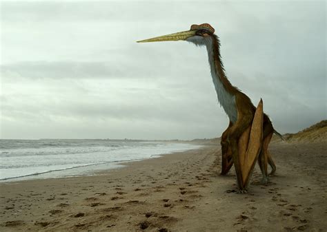 Quetzalcoatlus by Johnson-Mortimer on DeviantArt