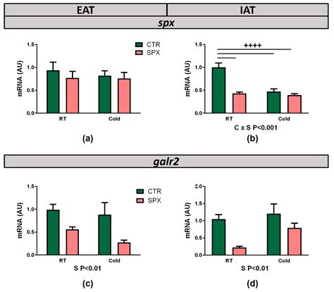 Ijms Free Full Text Role Of Spexin In White Adipose Tissue