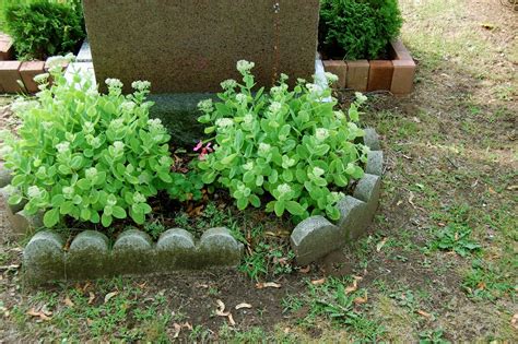 Astrids Garden Design Cemetery Plants